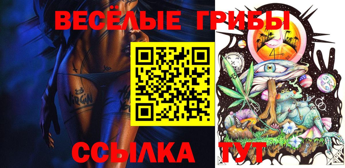 Псилоцибиновые грибы мицелий Ефремов